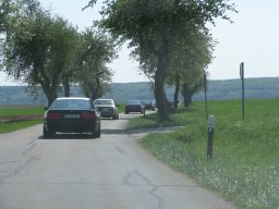 IMG_9996